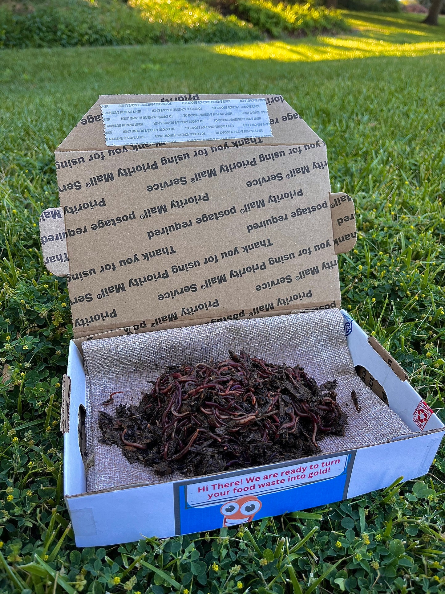 250 Composting Worms